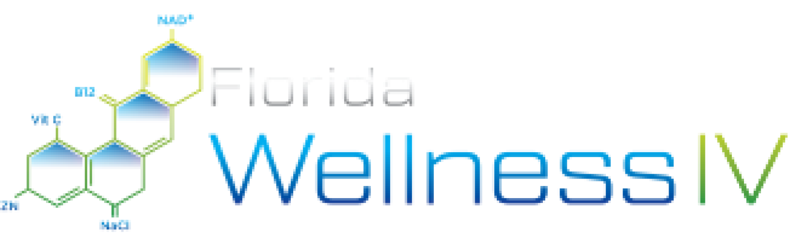 Florida Wellness IV 