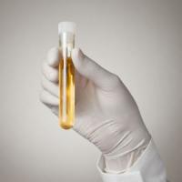 Key Decisions/Positive Choices