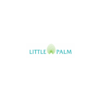  Little Palm