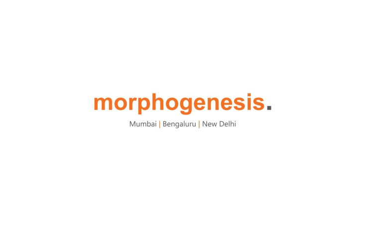 Business Morphogenesis Architects