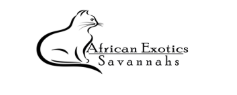 African Savannah - Cats & Kittens for Sale