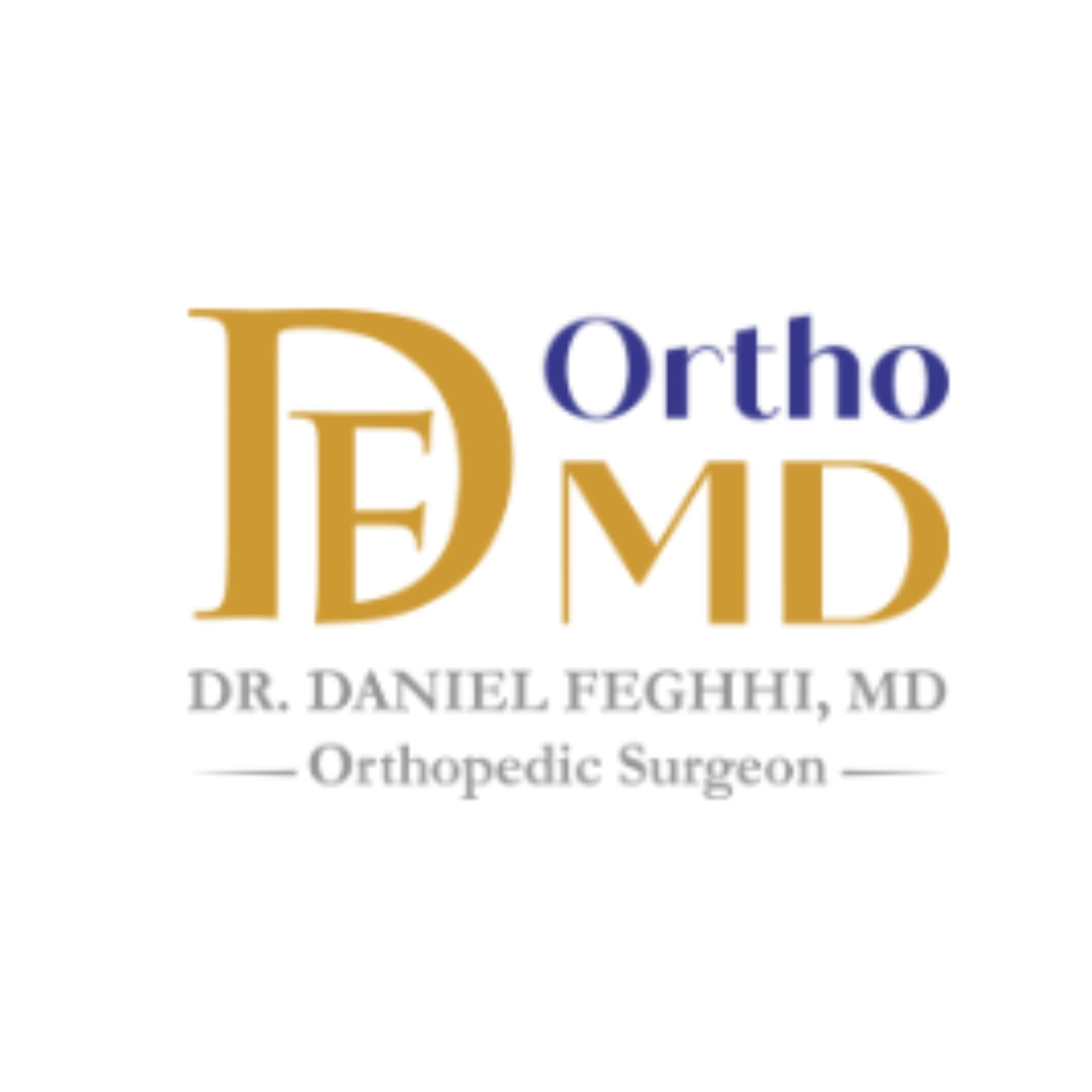 Business Dr. Daniel Feghhi