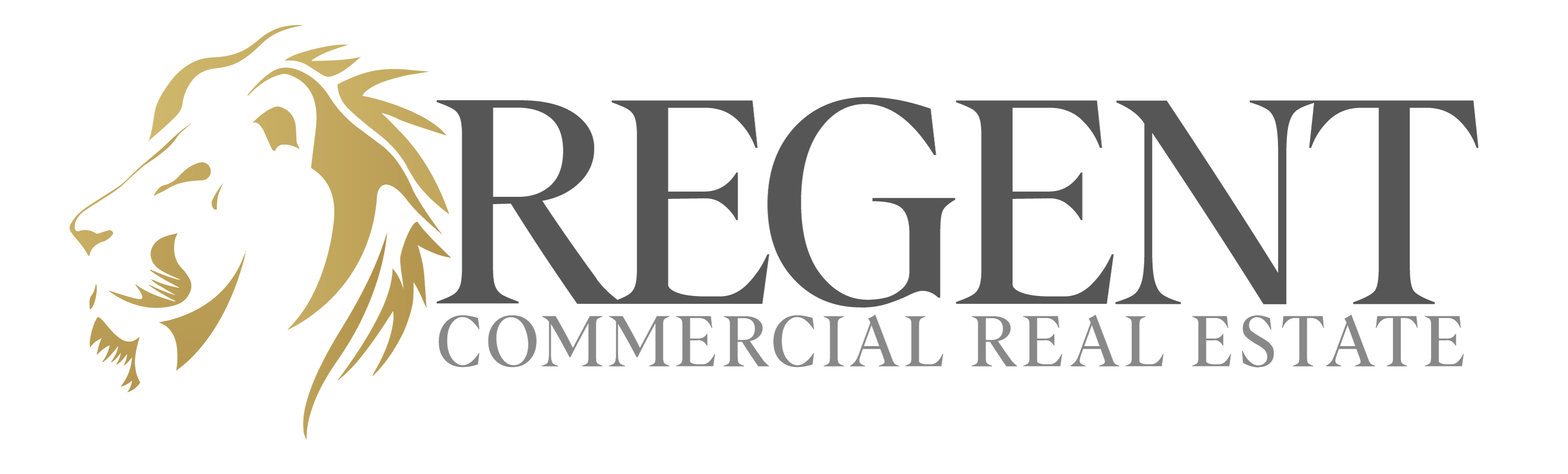 Regent Commercial Real Estate Fort Mill